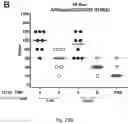 Fig. 32 - Pharmaceutical composition comprising a polymeric carrier cargo complex and at least one protein or peptide antigen