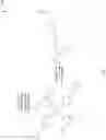 Fig. 04 - Microcapsule having a microcapsule shell material that is rupturable via a retro-dimerization reaction