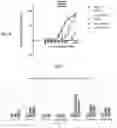 Fig. 06 - HSP90-targeting conjugates and formulations thereof