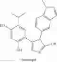 Fig. 12 - HSP90-targeting conjugates and formulations thereof