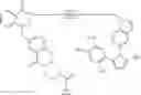 Fig. 30 - HSP90-targeting conjugates and formulations thereof