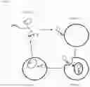Fig. 03 - CELL PENETRATING PROTEIN ADAPTOR MOLECULES AND THEIR APPLICATION IN RESEARCH AND MEDICINE