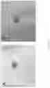 Fig. 07 - Noncrushable pill formulations