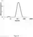 Fig. 05 - Nanoreservoir coated medical devices, biomaterials, and bioprosthetics