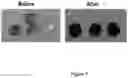 Fig. 08 - Nanoreservoir coated medical devices, biomaterials, and bioprosthetics