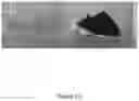 Fig. 13 - Nanoreservoir coated medical devices, biomaterials, and bioprosthetics