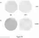 Fig. 20 - Nanoreservoir coated medical devices, biomaterials, and bioprosthetics