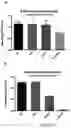 Fig. 28 - Nanoreservoir coated medical devices, biomaterials, and bioprosthetics