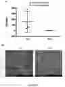 Fig. 29 - Nanoreservoir coated medical devices, biomaterials, and bioprosthetics