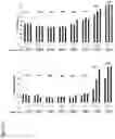 Fig. 11 - RNA formulation for immunotherapy