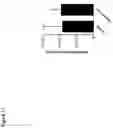 Fig. 18 - RNA formulation for immunotherapy