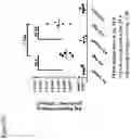 Fig. 33 - RNA formulation for immunotherapy