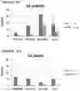 Fig. 17 - Gene therapy for treating hemophilia A