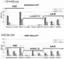 Fig. 19 - Gene therapy for treating hemophilia A
