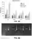 Fig. 11 - IR dyes for fluorescence imaging