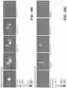 Fig. 14 - IR dyes for fluorescence imaging