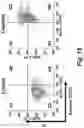 Fig. 14 - Caspase-3-triggered molecular self-assembling PET probes and uses thereof