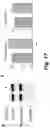 Fig. 16 - Caspase-3-triggered molecular self-assembling PET probes and uses thereof