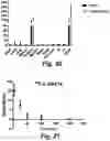 Fig. 18 - Caspase-3-triggered molecular self-assembling PET probes and uses thereof