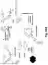 Fig. 27 - Caspase-3-triggered molecular self-assembling PET probes and uses thereof
