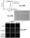 Fig. 32 - Caspase-3-triggered molecular self-assembling PET probes and uses thereof