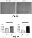 Fig. 34 - Caspase-3-triggered molecular self-assembling PET probes and uses thereof