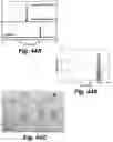 Fig. 47 - Caspase-3-triggered molecular self-assembling PET probes and uses thereof