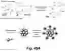 Fig. 48 - Caspase-3-triggered molecular self-assembling PET probes and uses thereof