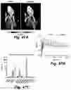 Fig. 51 - Caspase-3-triggered molecular self-assembling PET probes and uses thereof