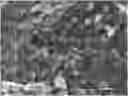 Fig. 01 - N-halamine composition for the prevention and elimination of odors