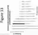 Fig. 14 - ABSORBENT, BREATHABLE AND PATHOGEN BLOCKING/KILLING WOUND CARE DRESSING AND FABRICATION THEREOF