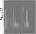 Fig. 15 - ABSORBENT, BREATHABLE AND PATHOGEN BLOCKING/KILLING WOUND CARE DRESSING AND FABRICATION THEREOF