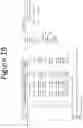 Fig. 20 - ABSORBENT, BREATHABLE AND PATHOGEN BLOCKING/KILLING WOUND CARE DRESSING AND FABRICATION THEREOF