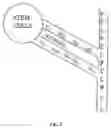 Fig. 06 - Biovessels for use in tissue engineering