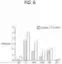 Fig. 07 - METHOD FOR DECELLULARIZATION OF SKIN TISSUE, METHOD FOR CONSTRUCTION OF ARTIFICIAL SKIN, METHOD FOR PREPARATION OF HYDROGEL OF DECELLULARIZED SKIN TISSUE, LYOPHILIZED, DECELLULARIZED SKIN TISSUE, AND BIOINK