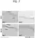 Fig. 08 - METHOD FOR DECELLULARIZATION OF SKIN TISSUE, METHOD FOR CONSTRUCTION OF ARTIFICIAL SKIN, METHOD FOR PREPARATION OF HYDROGEL OF DECELLULARIZED SKIN TISSUE, LYOPHILIZED, DECELLULARIZED SKIN TISSUE, AND BIOINK