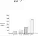 Fig. 11 - METHOD FOR DECELLULARIZATION OF SKIN TISSUE, METHOD FOR CONSTRUCTION OF ARTIFICIAL SKIN, METHOD FOR PREPARATION OF HYDROGEL OF DECELLULARIZED SKIN TISSUE, LYOPHILIZED, DECELLULARIZED SKIN TISSUE, AND BIOINK