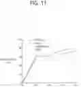 Fig. 12 - METHOD FOR DECELLULARIZATION OF SKIN TISSUE, METHOD FOR CONSTRUCTION OF ARTIFICIAL SKIN, METHOD FOR PREPARATION OF HYDROGEL OF DECELLULARIZED SKIN TISSUE, LYOPHILIZED, DECELLULARIZED SKIN TISSUE, AND BIOINK