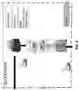 Fig. 09 - METHODS OF MAKING CELLULAR COMPOSITIONS DERIVED FROM DECEASED DONORS TO PROMOTE GRAFT TOLERANCE