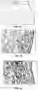 Fig. 12 - NEOCARTILAGE CONSTRUCTS USING UNIVERSAL CELLS
