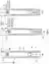 Fig. 08 - Injection device