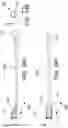 Fig. 63 - SYSTEMS, METHODS AND APPARATUS FOR GUIDING AND SUPPORTING CATHETERS SUCH AS STENT DELIVERY CATHETERS