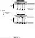 Fig. 02 - Nanoparticles for use for enhancing brain performances or for treating stress