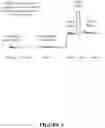 Fig. 06 - Nanoparticles for use for enhancing brain performances or for treating stress