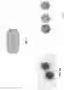 Fig. 02 - Polymeric radiation-sources