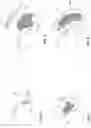Fig. 06 - Polymeric radiation-sources