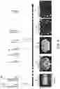Fig. 06 - Systems and methods for opening of a tissue barrier in primates