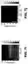 Fig. 11 - Systems and methods for opening of a tissue barrier in primates