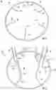 Fig. 03 - Exercise jumper