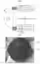 Fig. 09 - Exercise device